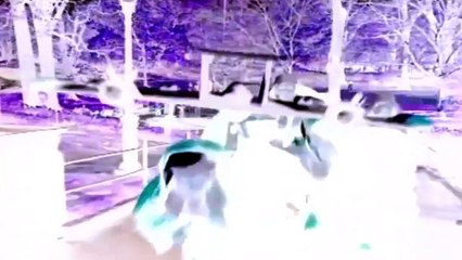 Céline Dion - I'm Alive in G Major