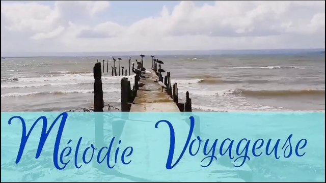 🎶 MELODIE VOYAGEUSE - journey fantasy music - Oud and Composer : HUSSEIN ELMASRY