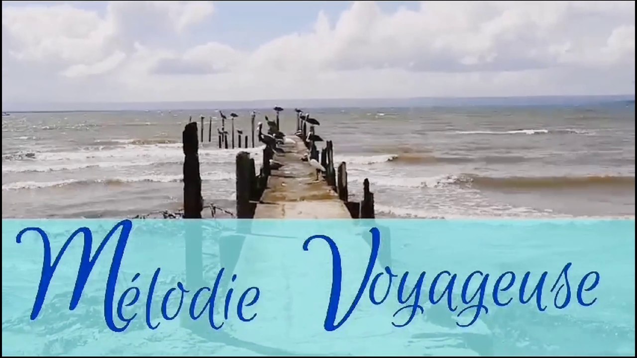 🎶 MELODIE VOYAGEUSE - journey fantasy music - Oud and Composer : HUSSEIN ELMASRY