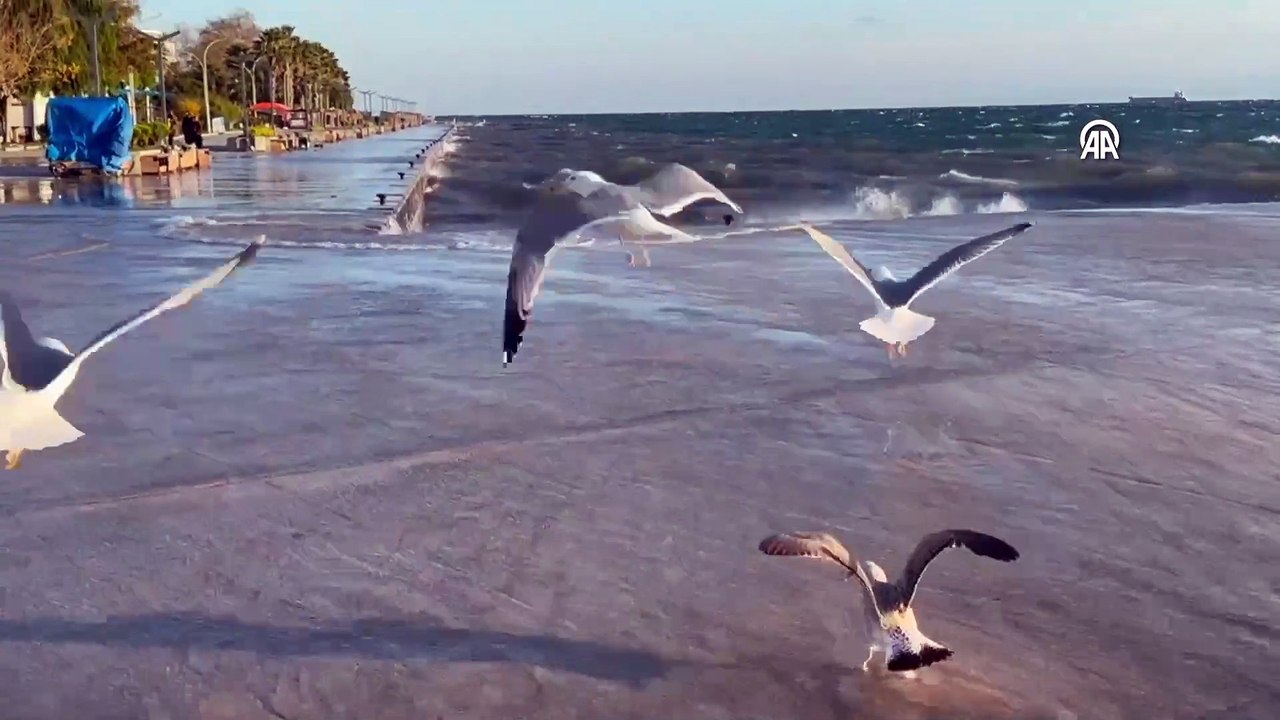 Sinop'ta dev dalgalar oluştu
