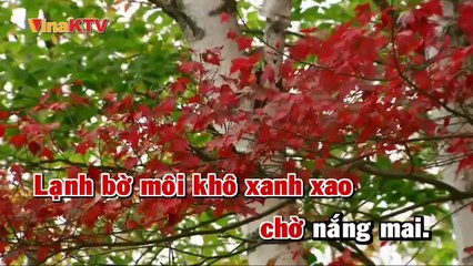 Hoa xương rồng - Thúy Loan cover mv 2