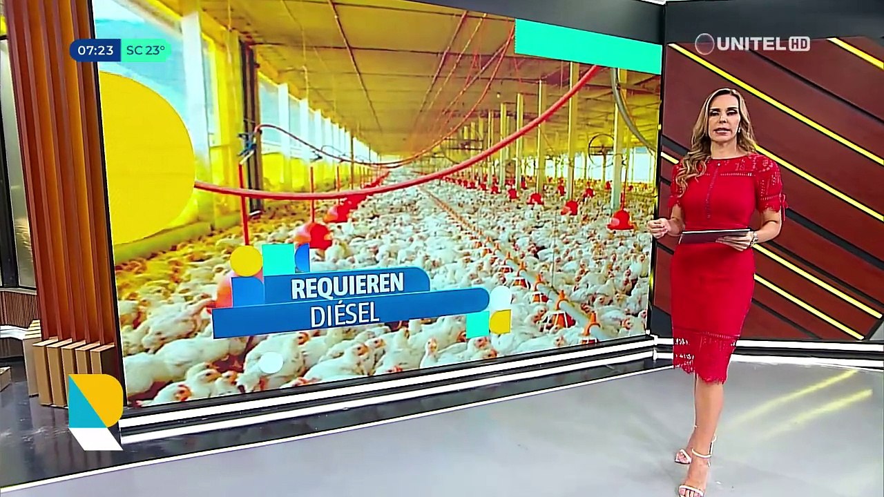 Agropecuarios señalan que por falta de diésel habrá menos oferta “lo que produce incremento de precios”