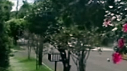 Câmera flagra colisão que deixou idosa morta e quatro pessoas feridas