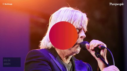 "C'est pas possible" : Renaud est remonté sur scène et les images de son concert ont fait réagir
