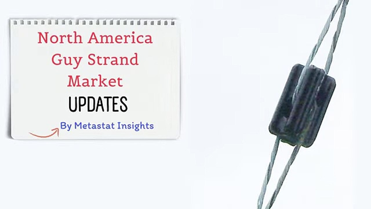 north-america-guy-strand-market