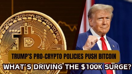 The Bitcoin Boom: What’s Driving the $100K Surge?