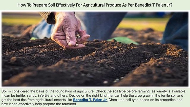 Colorado Man Benedict T Palen Jr - How To Prepare Soil Effectively For Agricultural Produce?