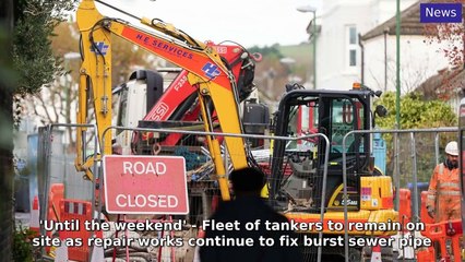 Sussex World Morning Update 22 November, 2024