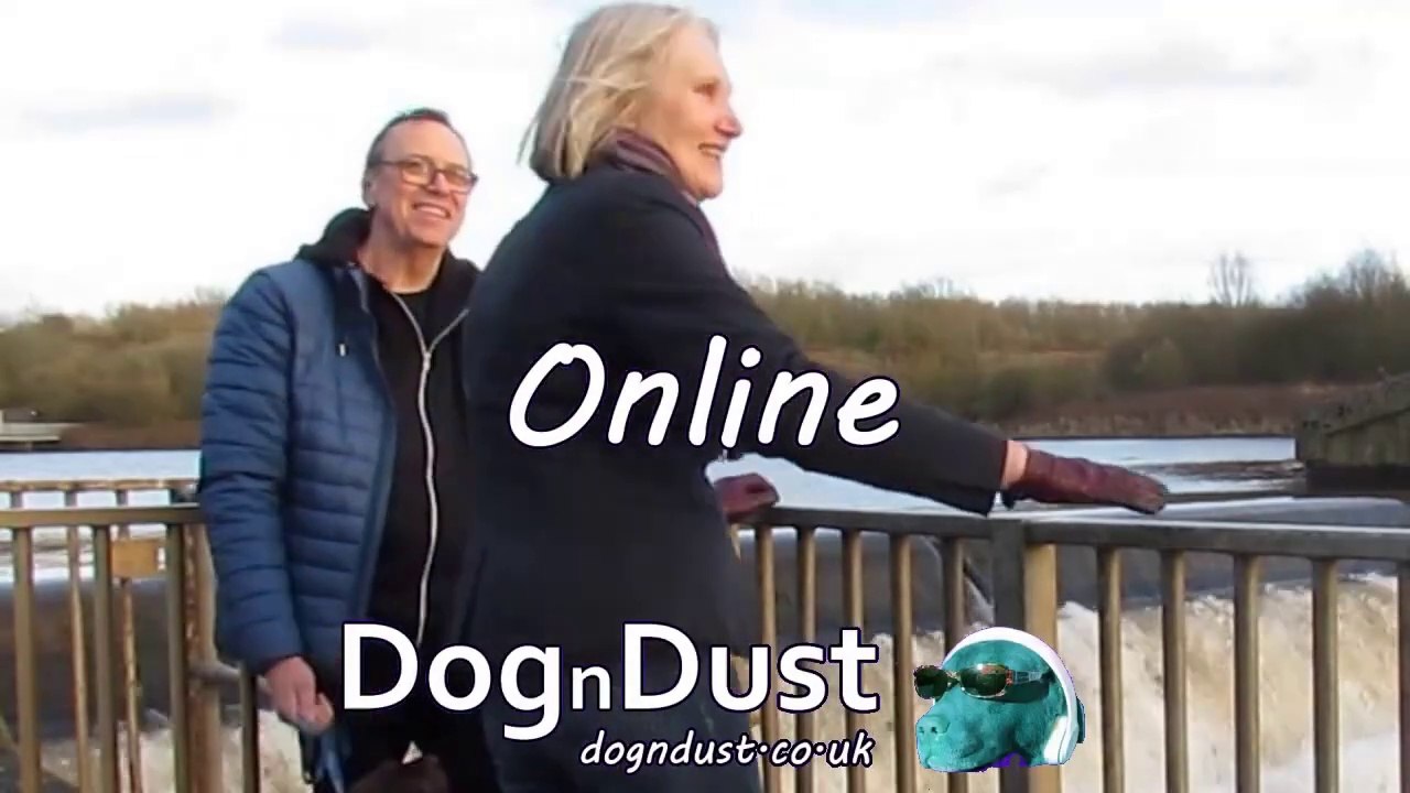 Online by DognDust