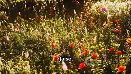 एक गृहिणी की गुप्त प्रेम कहानी 2024