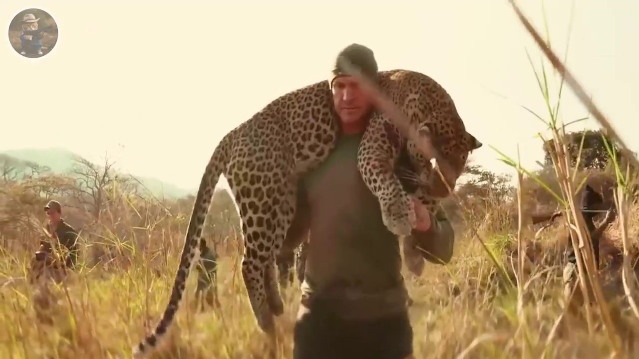 How Farmers and Hunters Deal with Millions of Leopards - Wolves and Wild Boars