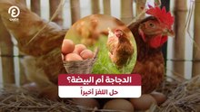الدجاجة أم البيضة؟ حل اللغز أخيراً