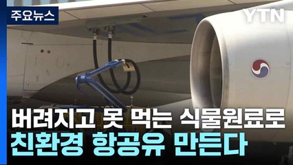 버려지고 못 먹는 식물원료로 친환경 항공유 만든다 / YTN