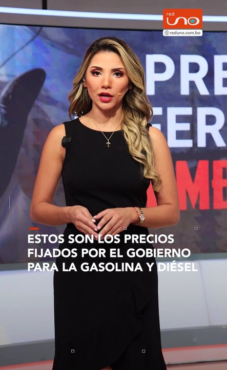 Estos son los precios que fijó el Gobierno para la gasolina y diésel importado por privados