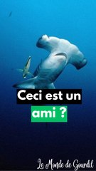 Une rencontre hors norme !