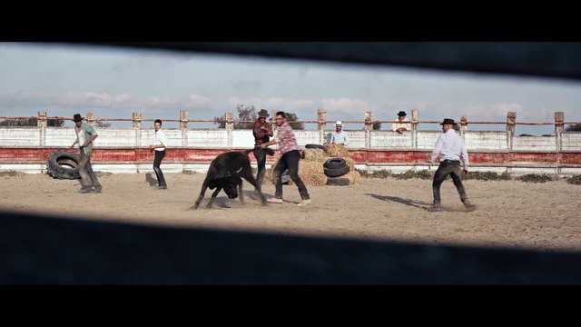 Animale BONUS VF Le film vu par la réalisatrice Emma Benestan