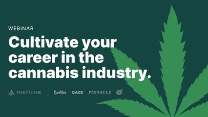 Unlock Your Career Growth: Expert Panel Insights 🌟