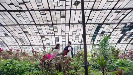 مسلسل ليه لا الحلقة 5 الموسم الاول