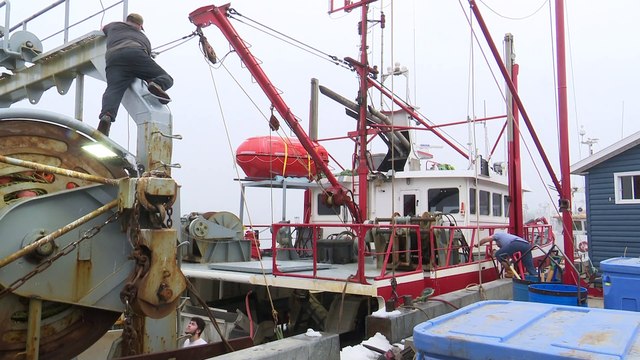 22 NOV TOPO MS bilan pêche crevette