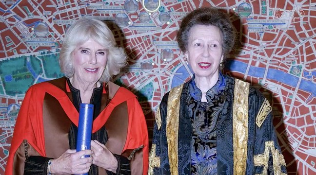Queen Camilla Attempts to Break Royal Protocol — but Princess Anne Won’t Have It!