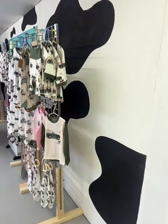 Rachel Stanton's new shop selling country-theme...
