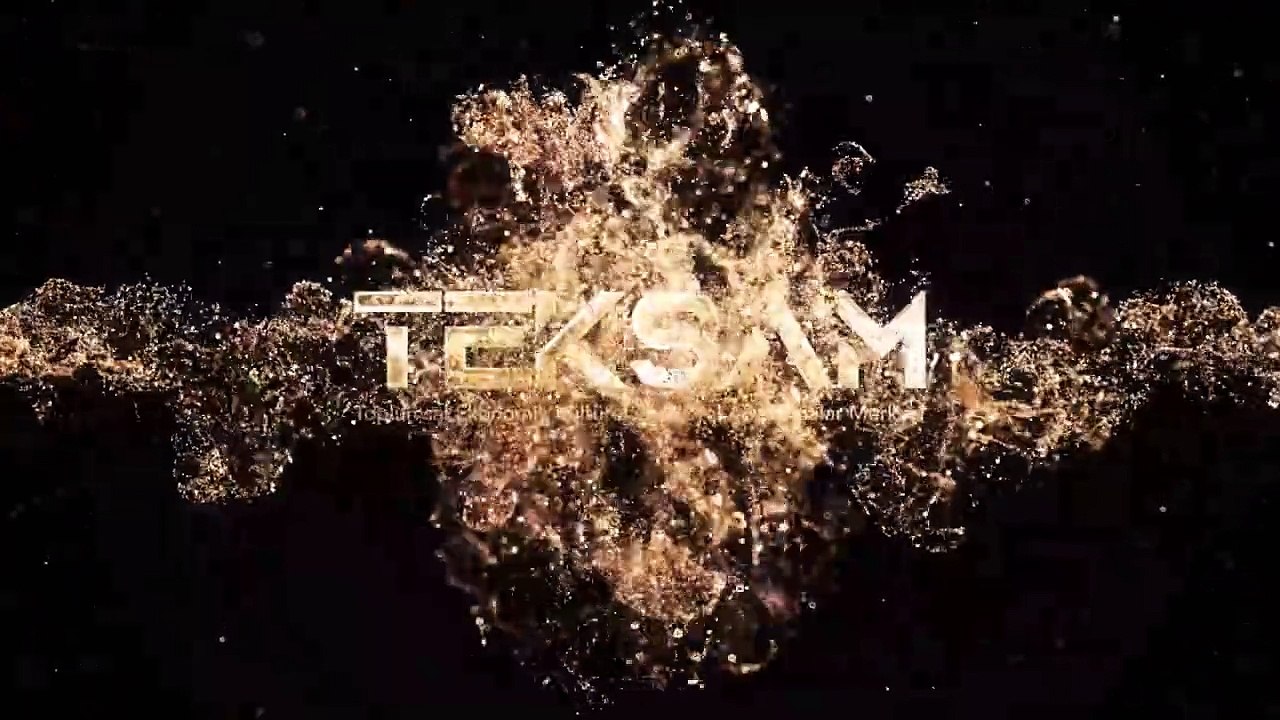 teksam1