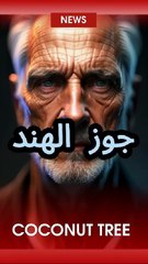 #شجرة جوز الهند