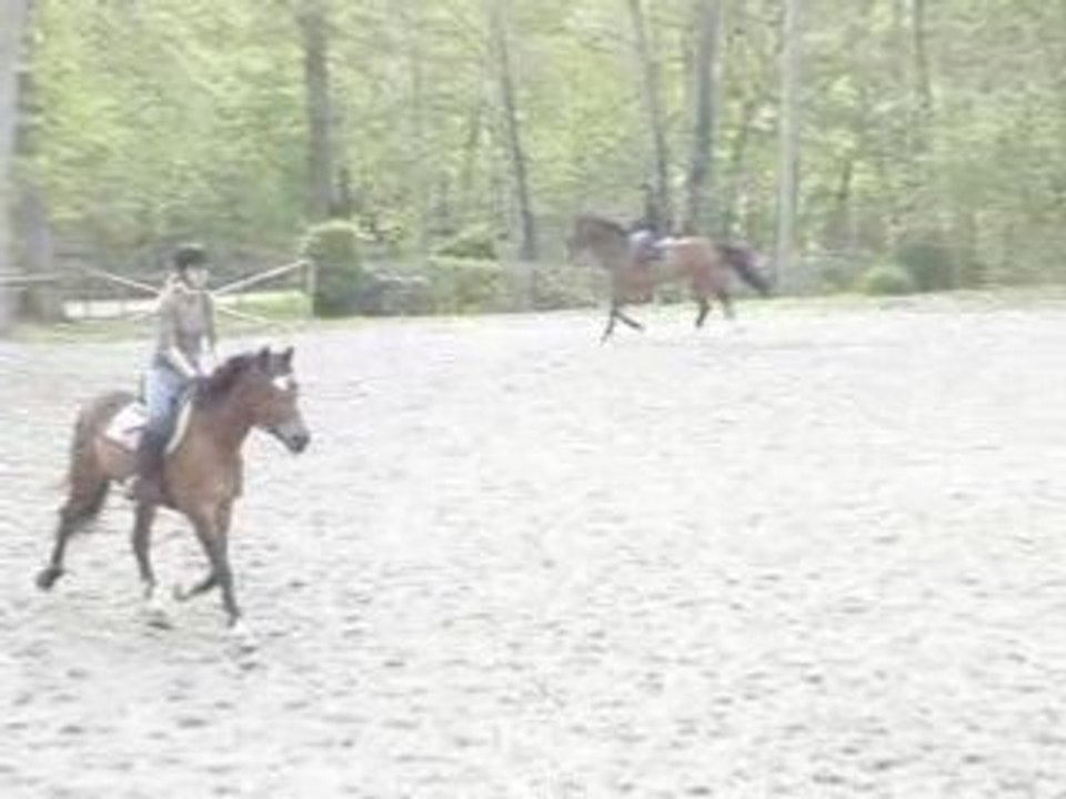 Oto et moi en obstacles