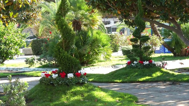 C'è già aria di Natale, in città lavori in corso
