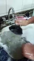 Best way to unclog a sink lol