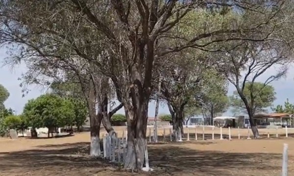 Agropecuaristas de Cajazeiras e região cobram melhorias no Parque de Exposição de animais visando 2025
