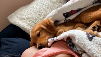 Vets Had No Idea What Was Wrong With This Foster Puppy