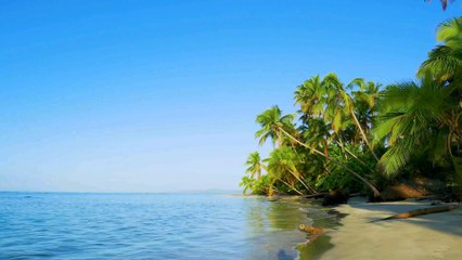 reggae lova par KAMELEON L'ARTISTE