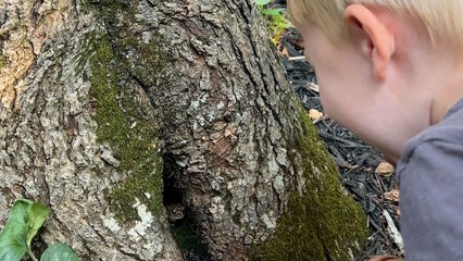 Family Creates Magical Cottage For Toad