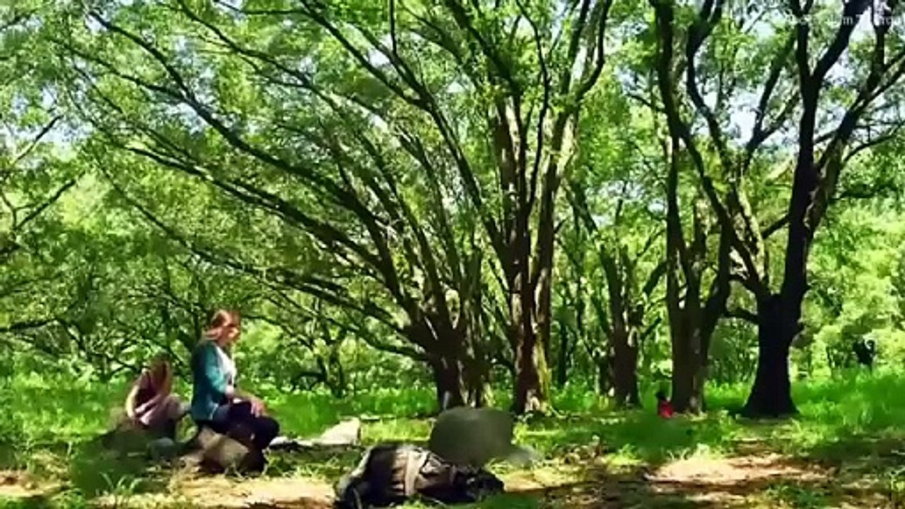 فيلم رعب خطير جدا [ Night of the wild ] مترجم بجودة عالية