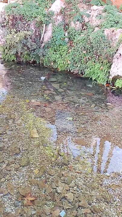 عين خادم مدينة الحاجب الجميلة