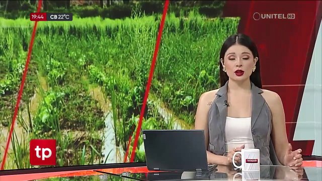 “Lo hemos perdido todo”: Comunarios de Luribay claman ayuda y dicen que sus cultivos quedaron destruidos por la riada