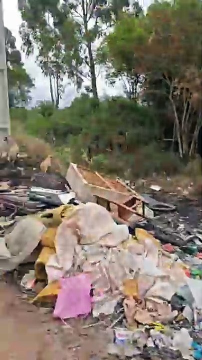 Mau exemplo! Câmera flagra motorista abandonand...