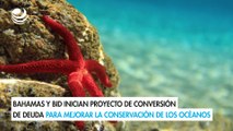 Bahamas y BID inician proyecto de conversión de deuda para mejorar la conservación de los océanos