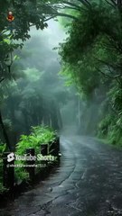 Escaping the Noise, Finding Serenity in Nature | Son Of A Sheikh