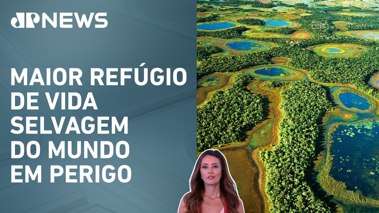 Pantanal pode entrar na lista da Unesco de patrimônios ameaçados; Patrícia Costa analisa