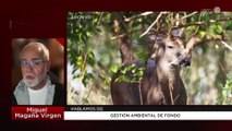 Gestión ambiental de fondo: Miguel Magaña