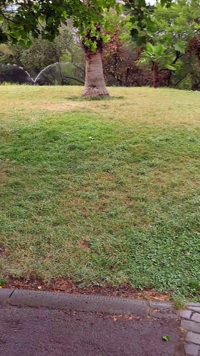 Sprinkler System in a Santiago Park 🌱💧🇨🇱