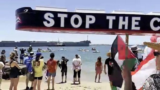 On the sad at Horseshoe Beach as Rising Tide launches its largest flotilla on Saturday | Newcastle Herald | November 23, 2024