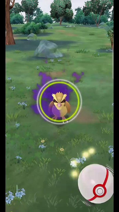Pokémon GO-Shadow Pidgey