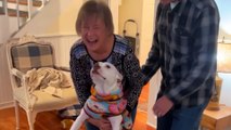 Grandma Didn't Like Pit Bulls Until She Fell In Love With One