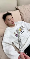 My brother is too timid. Try not to laugh |  new funny clips