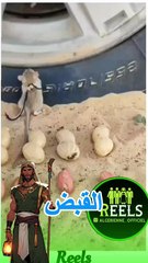 القبض علي أفئر مجرم في المغرب