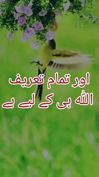 بے شک تمام تعریفیں اللّٰہ سبحان تعالیٰ کی عظیم اور بابرکت ذات کے لئے ہیں جو اس پوری کائنات کا خالق و مالک ہے۔ اللہ ہم سب کو احکامِ الہی پر عمل پیرا کرنے والا بنائے آمین ثم آمین ❣️❣️❣️❣️❣️❣️❣️❣️❣️❣️❣️ #سبحان__الله__وبحمده__سبحان__الله__العظيم