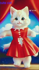 Videos | Short video | funny | cats | cat lover | cat dance